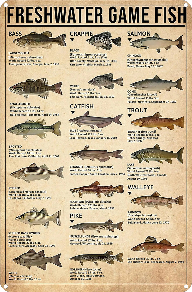 Smilelife Boys Fishing Gifts Vintage Fresh Water Gamefish Knowledge Tin Sign for Man Cave Bedroom Lake House Cabin Wall Art Decor 8x12 Inch (3069)